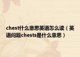 chest什么意思英语怎么读（英语问题chests是什么意思）