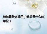 赫兹是什么牌子（赫兹是什么的单位）