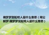 做梦梦到蛇咬人是什么意思（周公解梦:做梦梦见蛇咬人是什么意思）