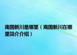 南国新川是哪里（南国新川在哪里简介介绍）