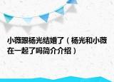 小薇跟杨光结婚了（杨光和小薇在一起了吗简介介绍）
