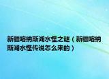 新疆喀纳斯湖水怪之谜（新疆喀纳斯湖水怪传说怎么来的）