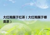 大红袍属于红茶（大红袍属于哪类茶）