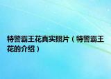 特警霸王花真实照片（特警霸王花的介绍）