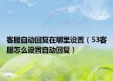客服自动回复在哪里设置（53客服怎么设置自动回复）