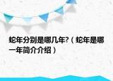 蛇年分别是哪几年?（蛇年是哪一年简介介绍）