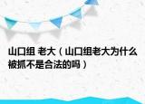 山口组 老大（山口组老大为什么被抓不是合法的吗）