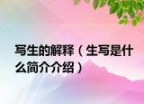 写生的解释（生写是什么简介介绍）