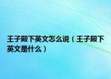 王子殿下英文怎么说（王子殿下英文是什么）