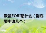 欧盟EORI是什么（到底要申请几个）