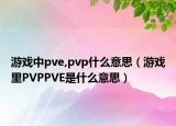 游戏中pve,pvp什么意思（游戏里PVPPVE是什么意思）