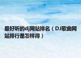 最好听的dj网站排名（DJ歌曲网站排行是怎样得）