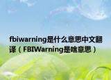 fbiwarning是什么意思中文翻译（FBIWarning是啥意思）