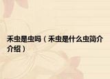 禾虫是虫吗（禾虫是什么虫简介介绍）