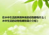 在水中生活的其他种类的动物都有什么（水中生活的动物有哪些简介介绍）