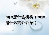ngo是什么机构（ngo是什么简介介绍）