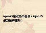 iqooz5是双扬声器么（iqooz5是双扬声器吗）