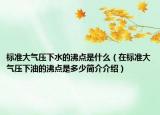 标准大气压下水的沸点是什么（在标准大气压下油的沸点是多少简介介绍）