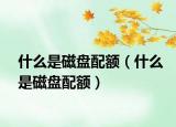 什么是磁盘配额（什么是磁盘配额）
