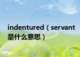 indentured（servant是什么意思）