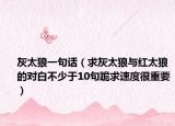 灰太狼一句话（求灰太狼与红太狼的对白不少于10句跪求速度很重要）