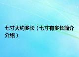 七寸大约多长（七寸有多长简介介绍）