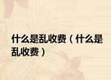 什么是乱收费（什么是乱收费）