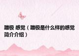 蹦极 感觉（蹦极是什么样的感觉简介介绍）