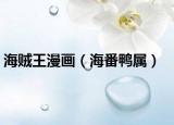 海贼王漫画（海番鸭属）