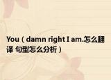 You（damn right I am.怎么翻译 句型怎么分析）