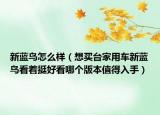 新蓝鸟怎么样（想买台家用车新蓝鸟看着挺好看哪个版本值得入手）