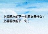 上善若水的下一句原文是什么（上善若水的下一句）