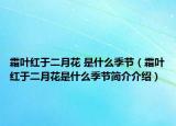 霜叶红于二月花 是什么季节（霜叶红于二月花是什么季节简介介绍）