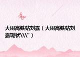 大闹高铁站刘露（大闹高铁站刘露现状\