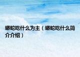 蟒蛇吃什么为主（蟒蛇吃什么简介介绍）