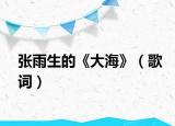 张雨生的《大海》（歌词）