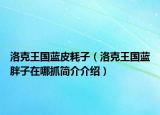 洛克王国蓝皮耗子（洛克王国蓝胖子在哪抓简介介绍）