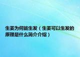 生姜为何能生发（生姜可以生发的原理是什么简介介绍）