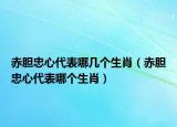 赤胆忠心代表哪几个生肖（赤胆忠心代表哪个生肖）