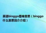 英语binggo是啥意思（binggo什么意思简介介绍）