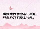 不知道不明了不想要是什么歌名（不知道不明了不想要是什么歌）