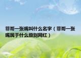 菲哥一张嘴叫什么名字（菲哥一张嘴属于什么级别网红）
