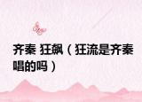 齐秦 狂飙（狂流是齐秦唱的吗）