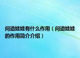 问道娃娃有什么作用（问道娃娃的作用简介介绍）