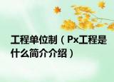 工程单位制（Px工程是什么简介介绍）