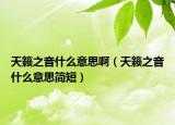 天籁之音什么意思啊（天籁之音什么意思简短）