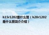 h15r1202是什么管（h20r1202是什么管简介介绍）