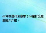 oz中文是什么意思（oz是什么意思简介介绍）