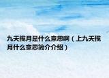 九天揽月是什么意思啊（上九天揽月什么意思简介介绍）