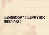 三苏谁是父亲?（三苏哪个是父亲简介介绍）